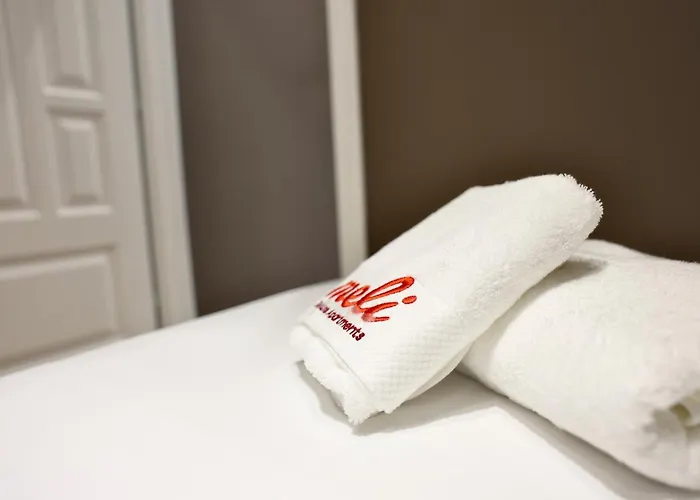 Aparthotel Meli Deluxe 4*